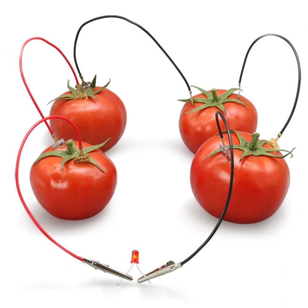 Diy Electronics Projects For Kids - Kit per esperimenti scientifici sulla batteria