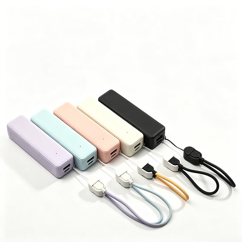 Custodia per Power Bank con Ba - Diy Electronics Com recensione e prezzo